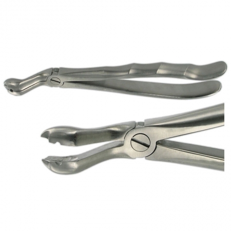 ENGLISH FORCEPS 121 UPPER WISDOM